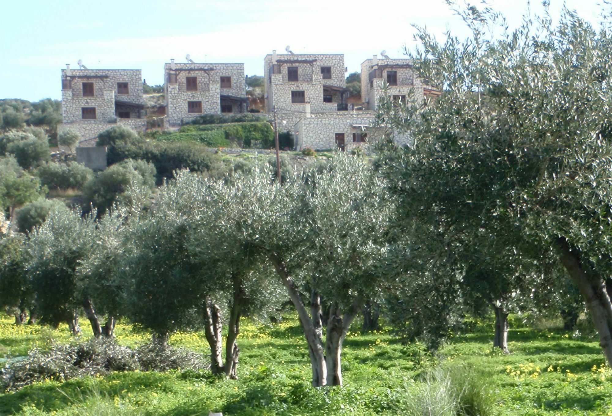 Ville Du Soleil - Exclusive Homes With Rustic Charm And Sensational Views Of The Mediterranean Sea Makrýgialos Esterno foto